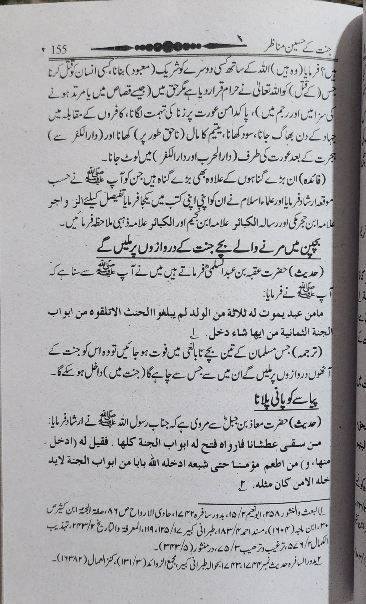 جنت کے حسین مناظر - Image 4